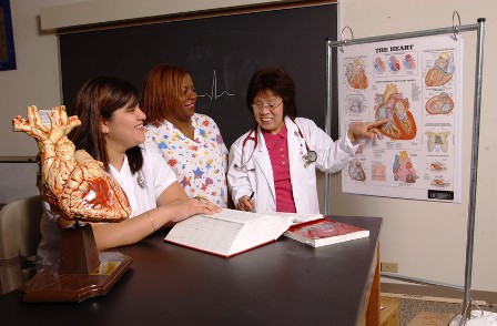 Nursing Diversity-DNP